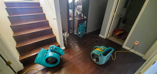 Best 24/7 water damage repair  in Milford City, CT