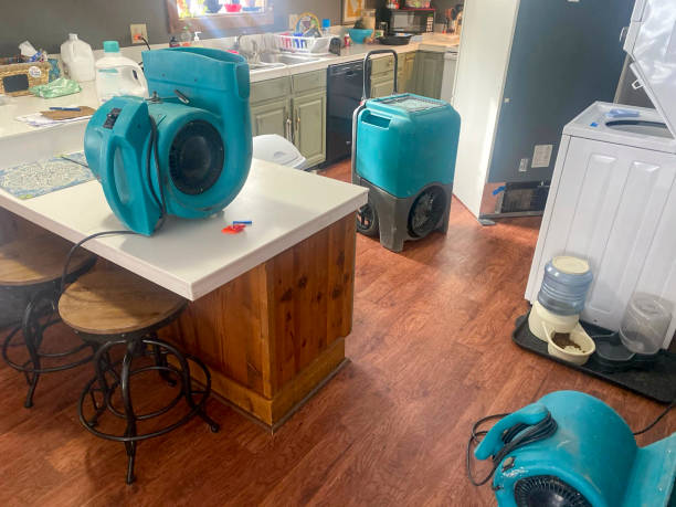  Milford City, CT Water damage restoration Pros