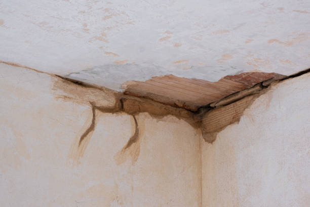Best Water damage contractors near me  in Milford City, CT