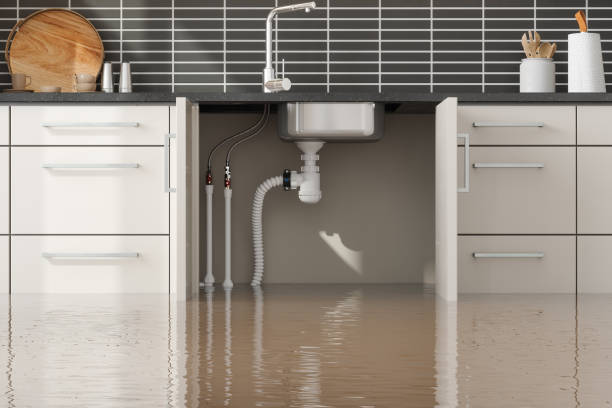 Best Sewage cleanup and water damage restoration  in Milford City, CT